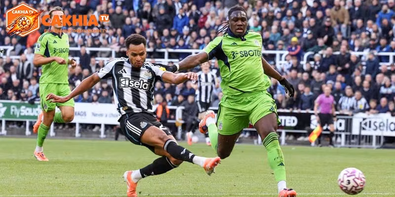 Phong độ của Fulham vs Newcastle